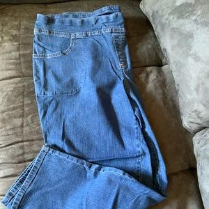 Terra & Sky Slip on Jeans 1X
